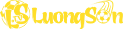 các món chay ngon